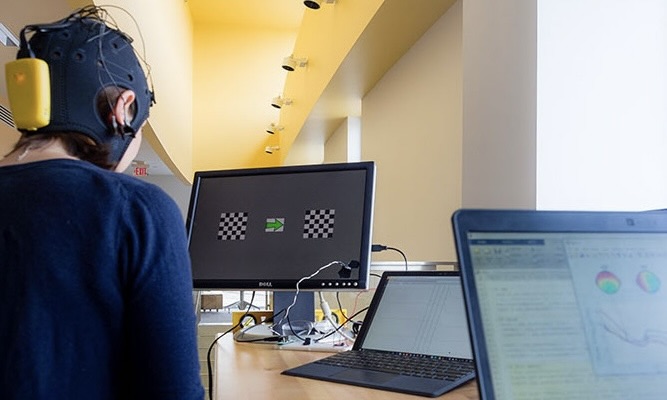 Person wearing an EEG cap facing a screen with two flickering checkerboard targets while laptops display live brainwave traces.