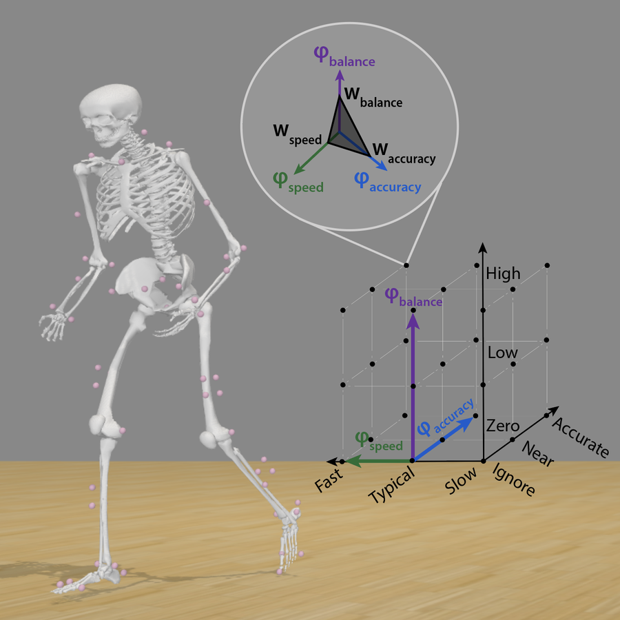 Musculoskeletal simulation of a person mid-stride beside a three-dimensional grid whose axes are walking speed, foot-placement accuracy, and balance, with arrows showing how a model trades off these competing objectives