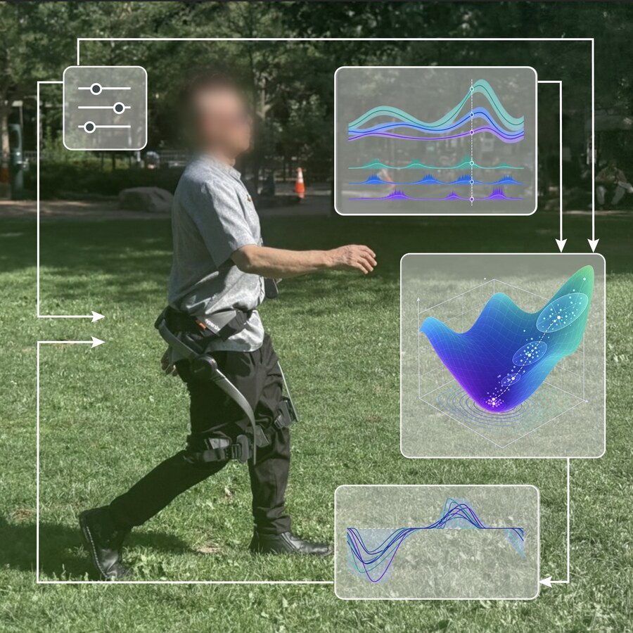 Person walking outdoors in a hip exoskeleton, with arrows tracing a human-in-the-loop optimization cycle: assistance settings, measured responses, an optimization landscape, and updated torque profiles.
