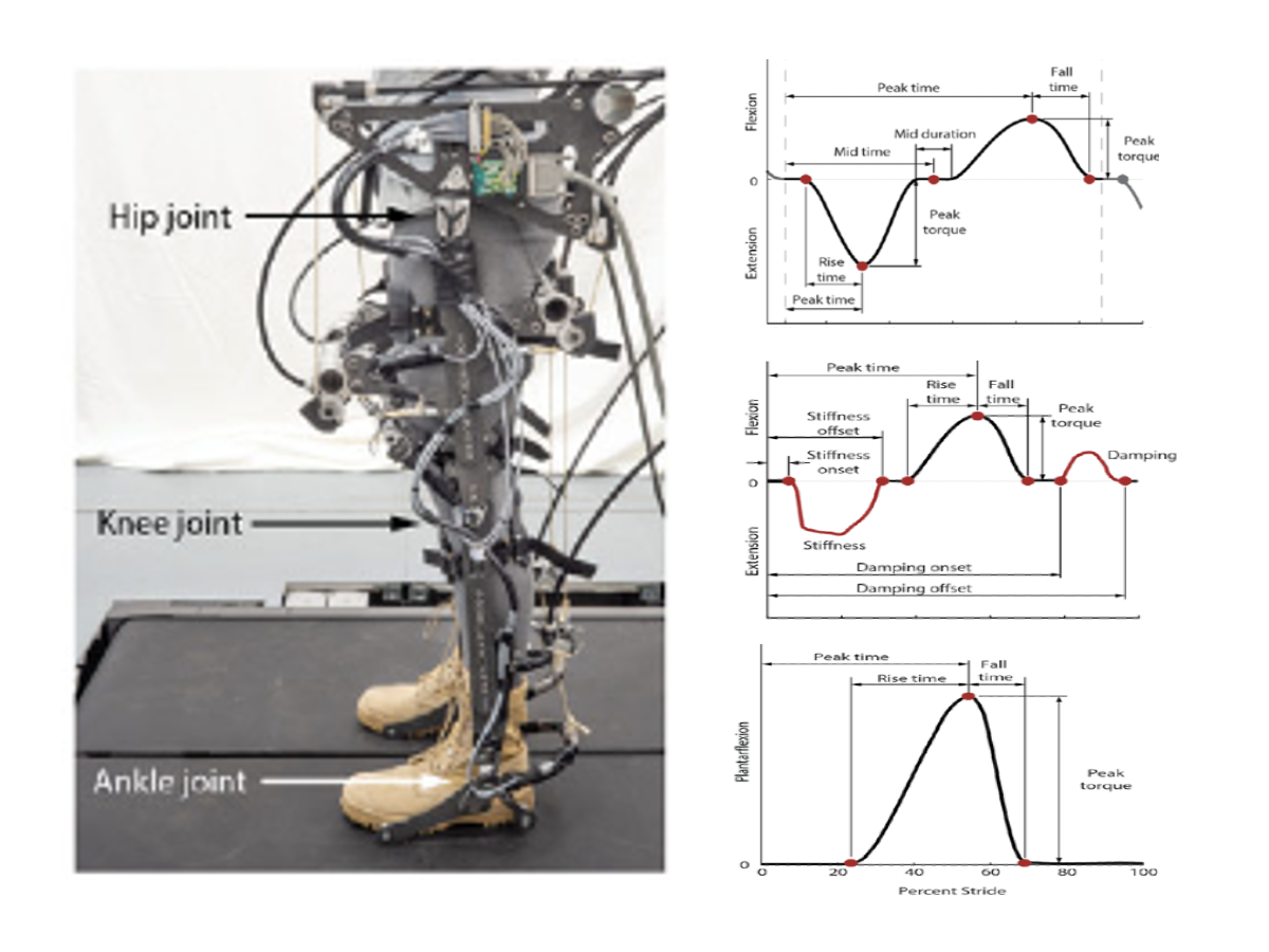 Tethered hip–knee–ankle exoskeleton emulator on a treadmill with each joint labeled, beside three torque profiles showing the timing and magnitude parameters optimized at each joint.