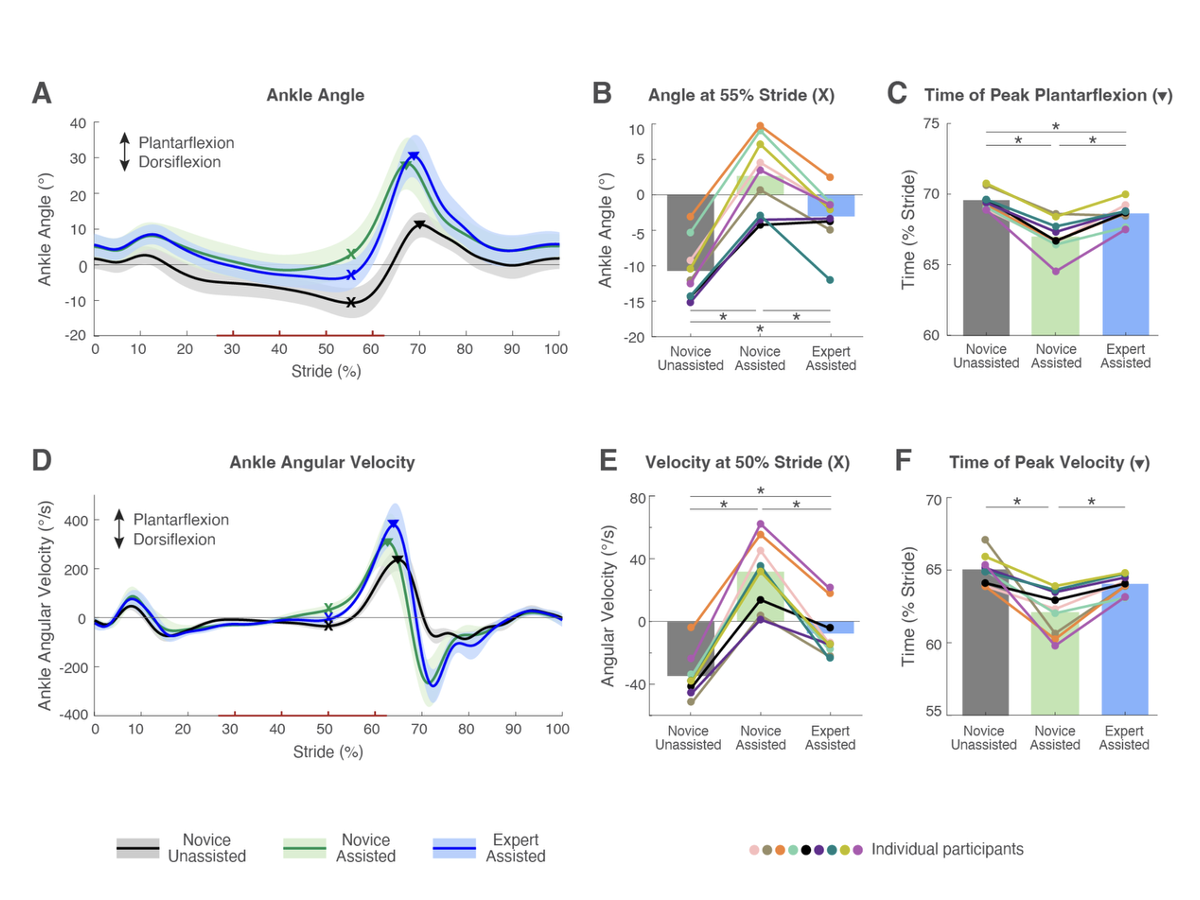 Six-panel figure comparing ankle angle and angular velocity across the stride for novice unassisted, novice assisted, and expert assisted walking.